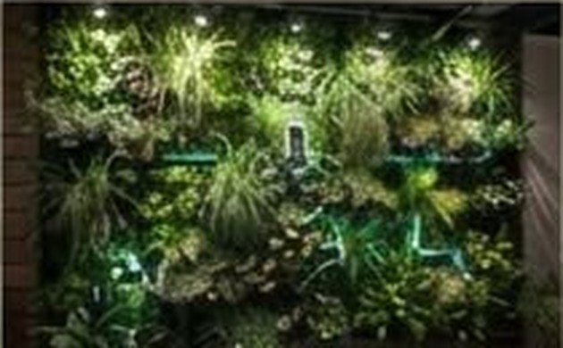 Muro de plantas iluminado
